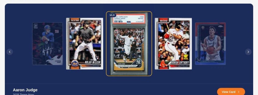Big Apple Collects